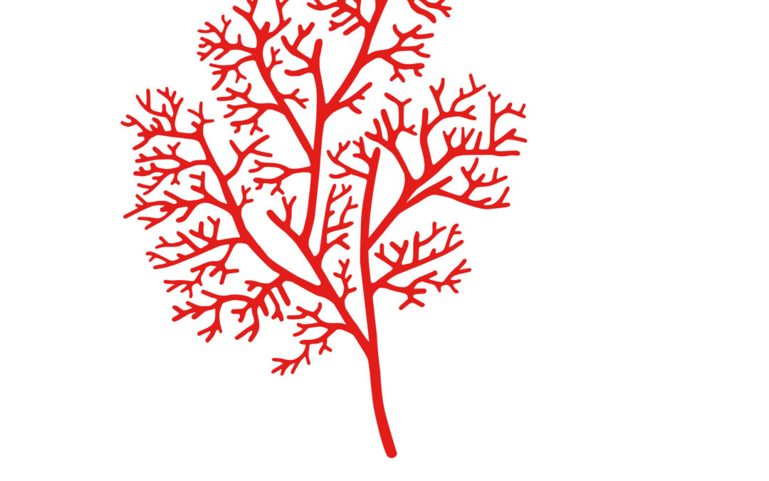Angiogenesis Analytics